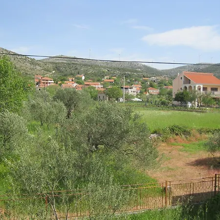 Denis Marina