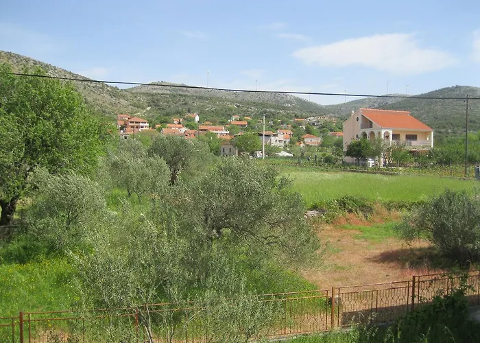 Denis Marina